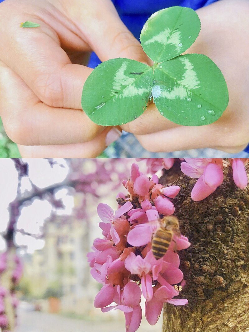 江苏PA视讯集团