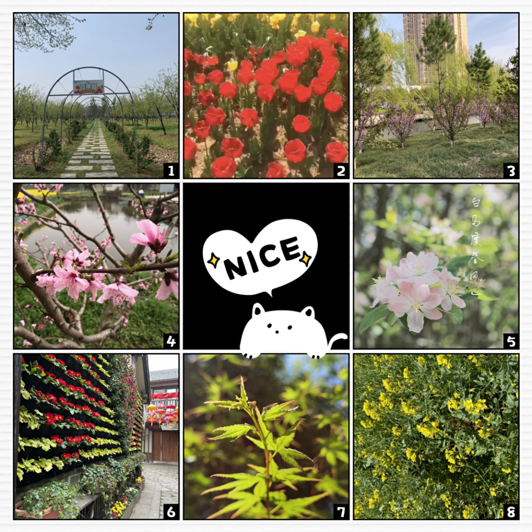 江苏PA视讯集团