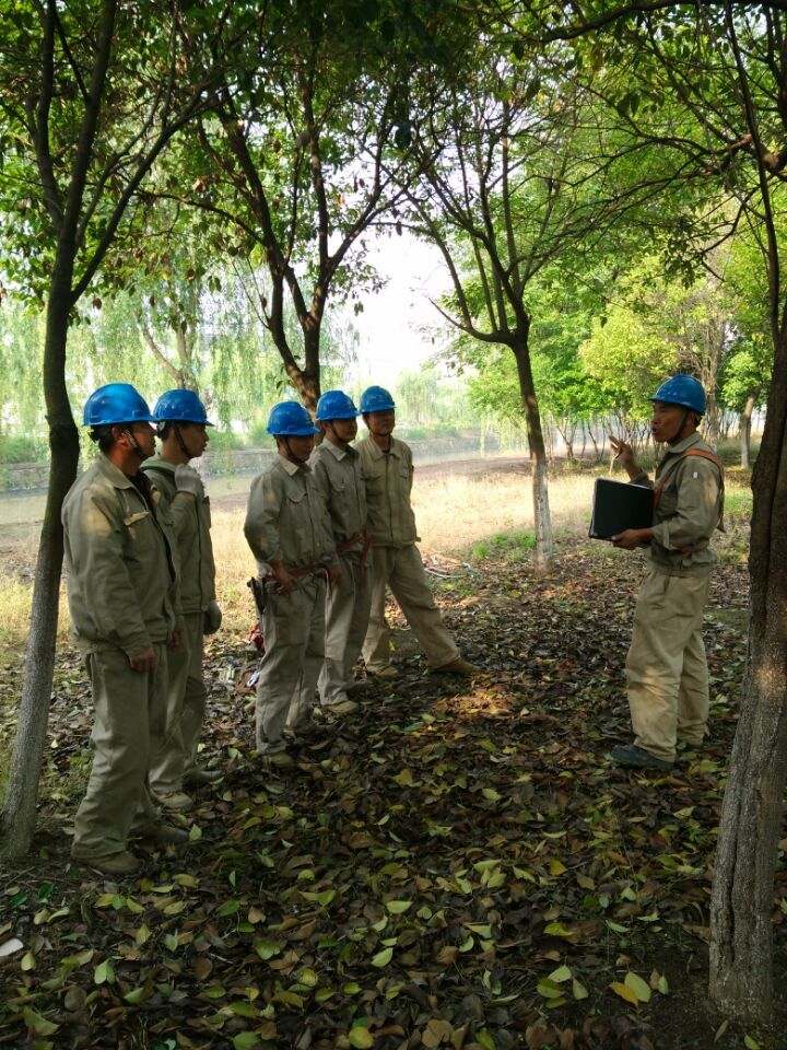 PA视讯(亚洲区)官网 - PlayAce